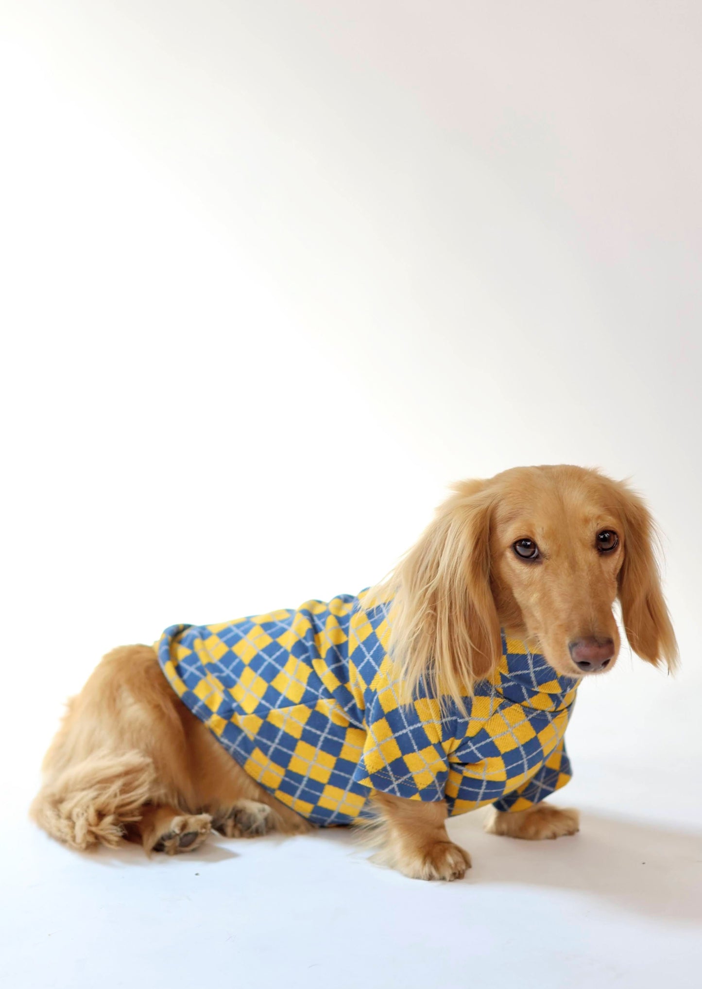 Study Break Sweater