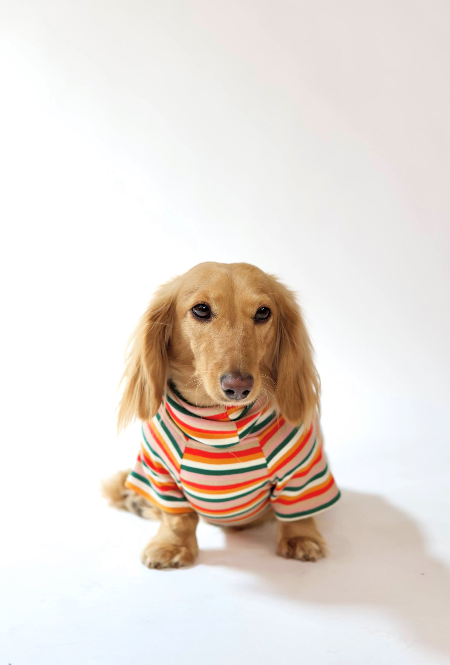 Sunset Soda Dog Shirt