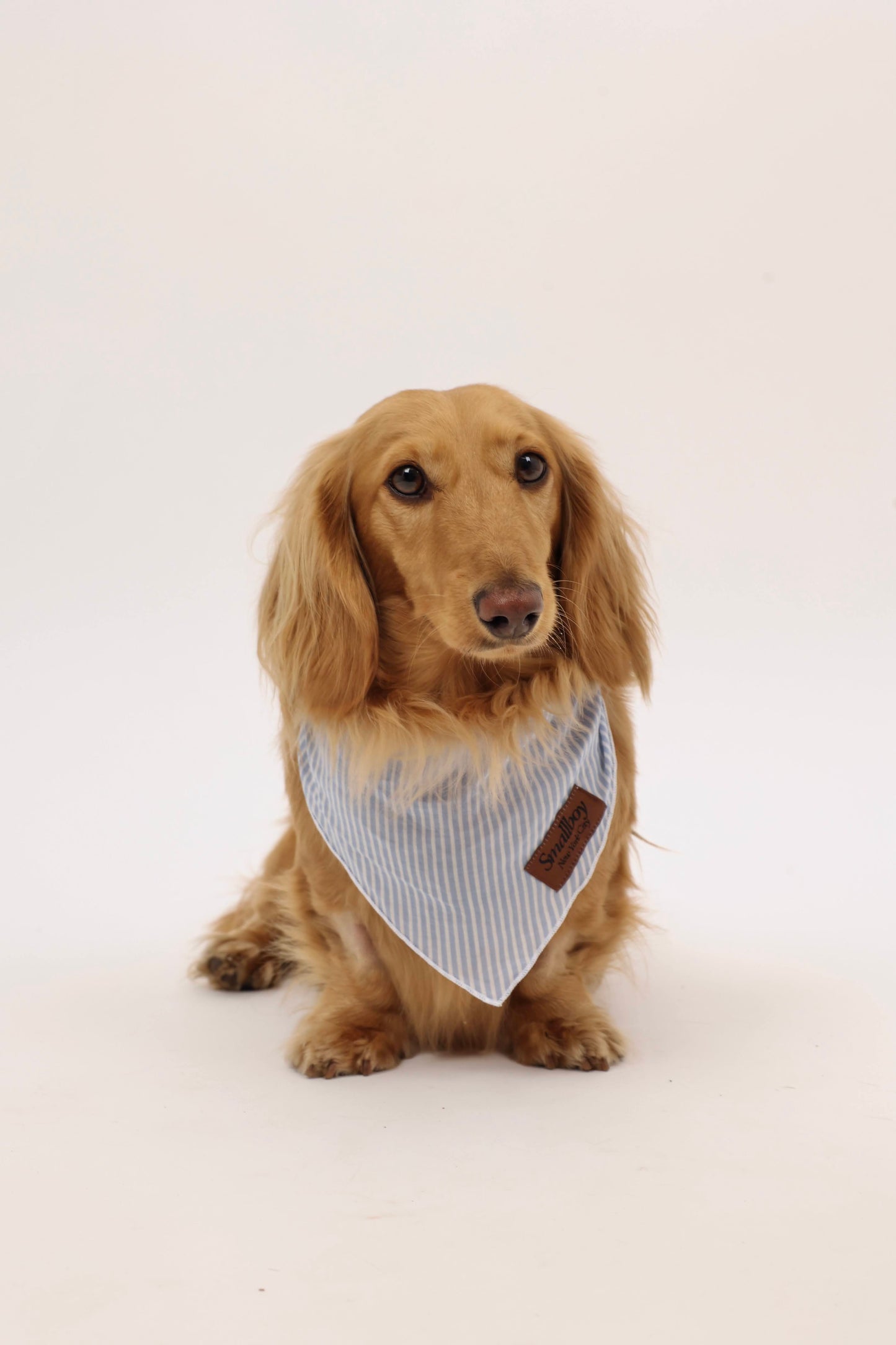 Coastal Breeze Bandana
