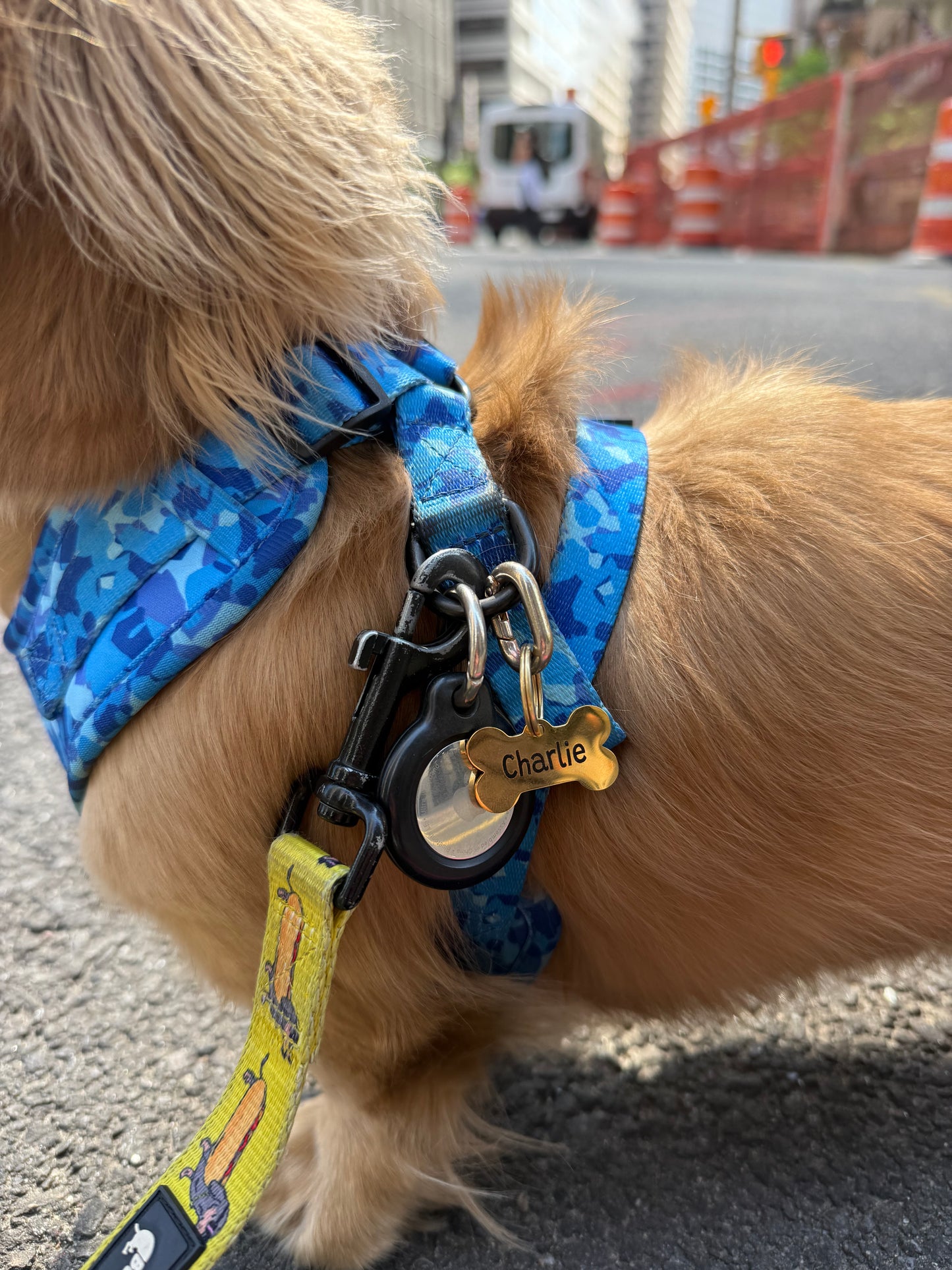 Custom Dog Tag