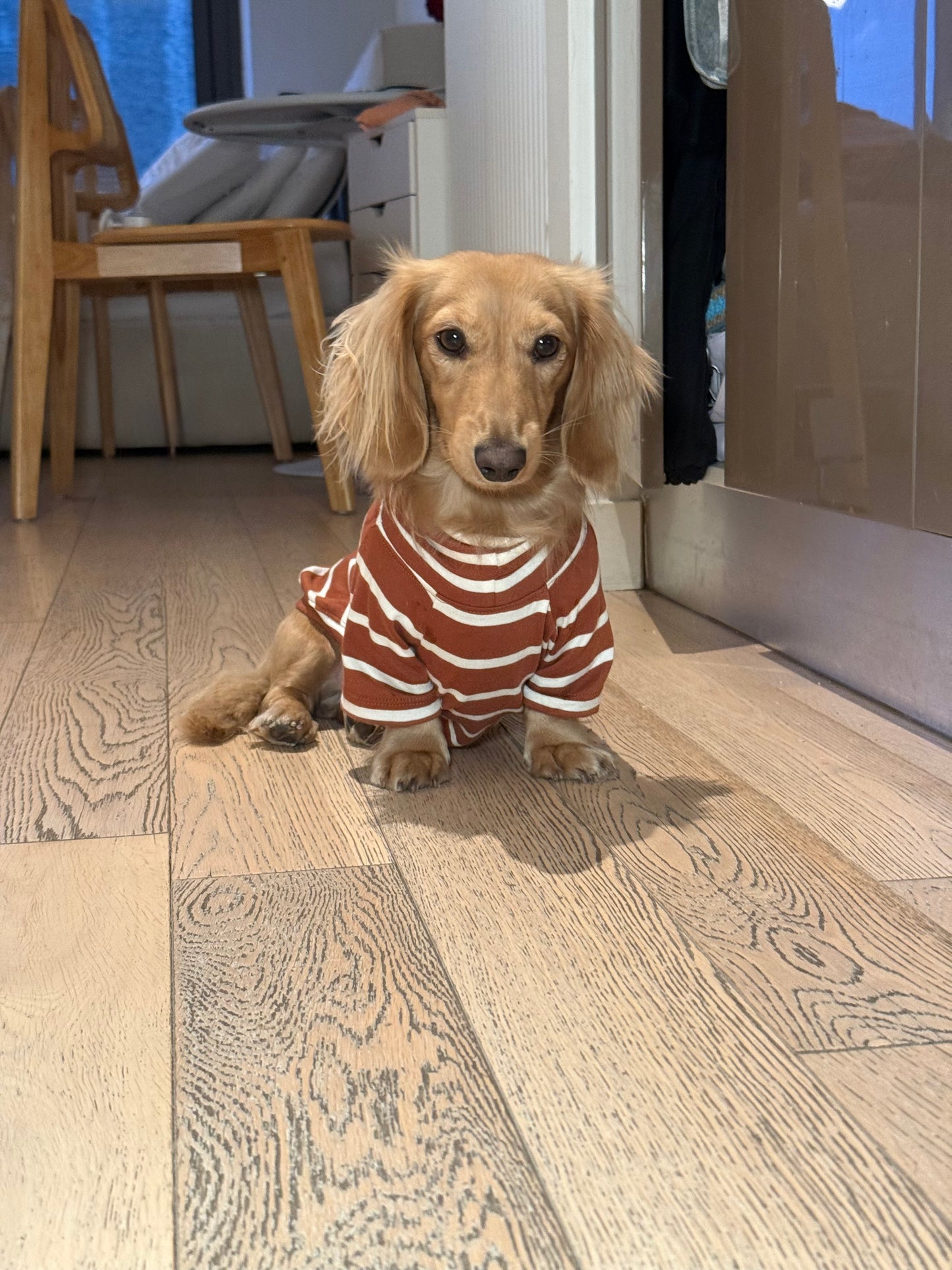 Brown Sugar & Charcoal Striped Dog Sweater - Smallboy