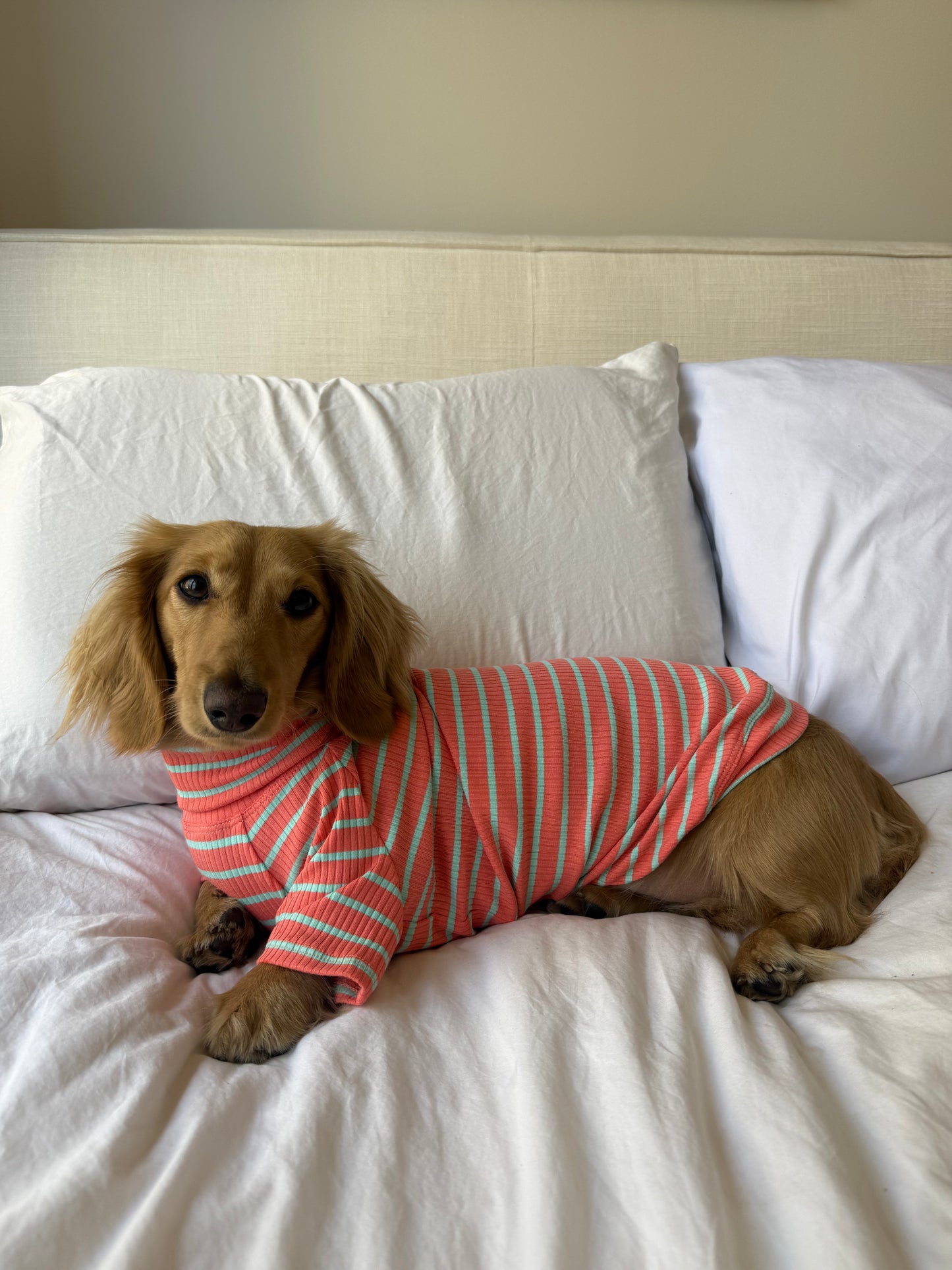 Coral Crush Dog Shirt