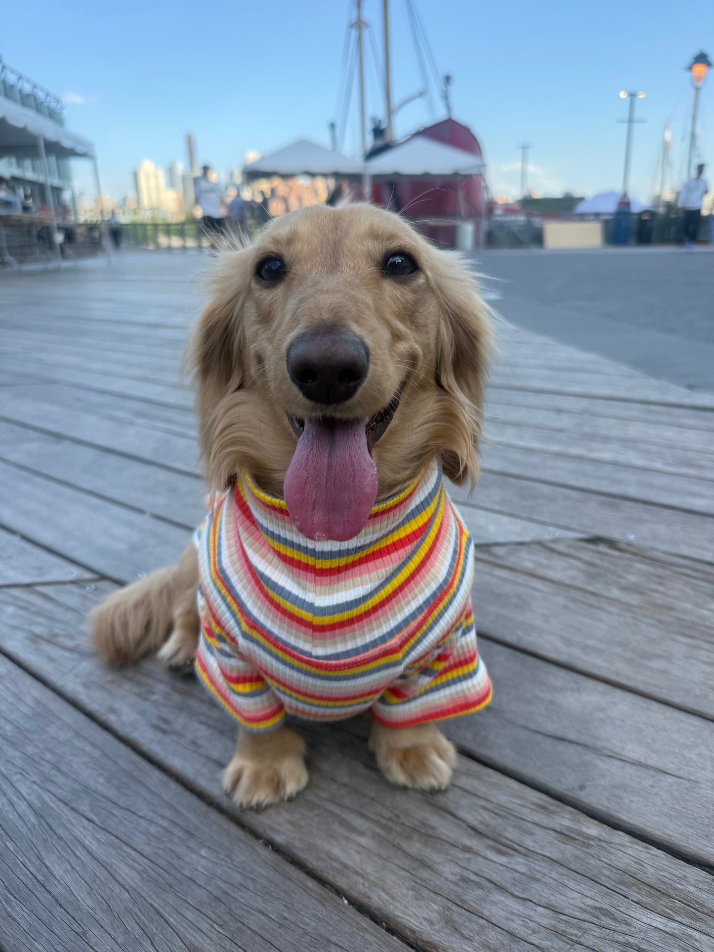Retro Stripe Dog Shirt