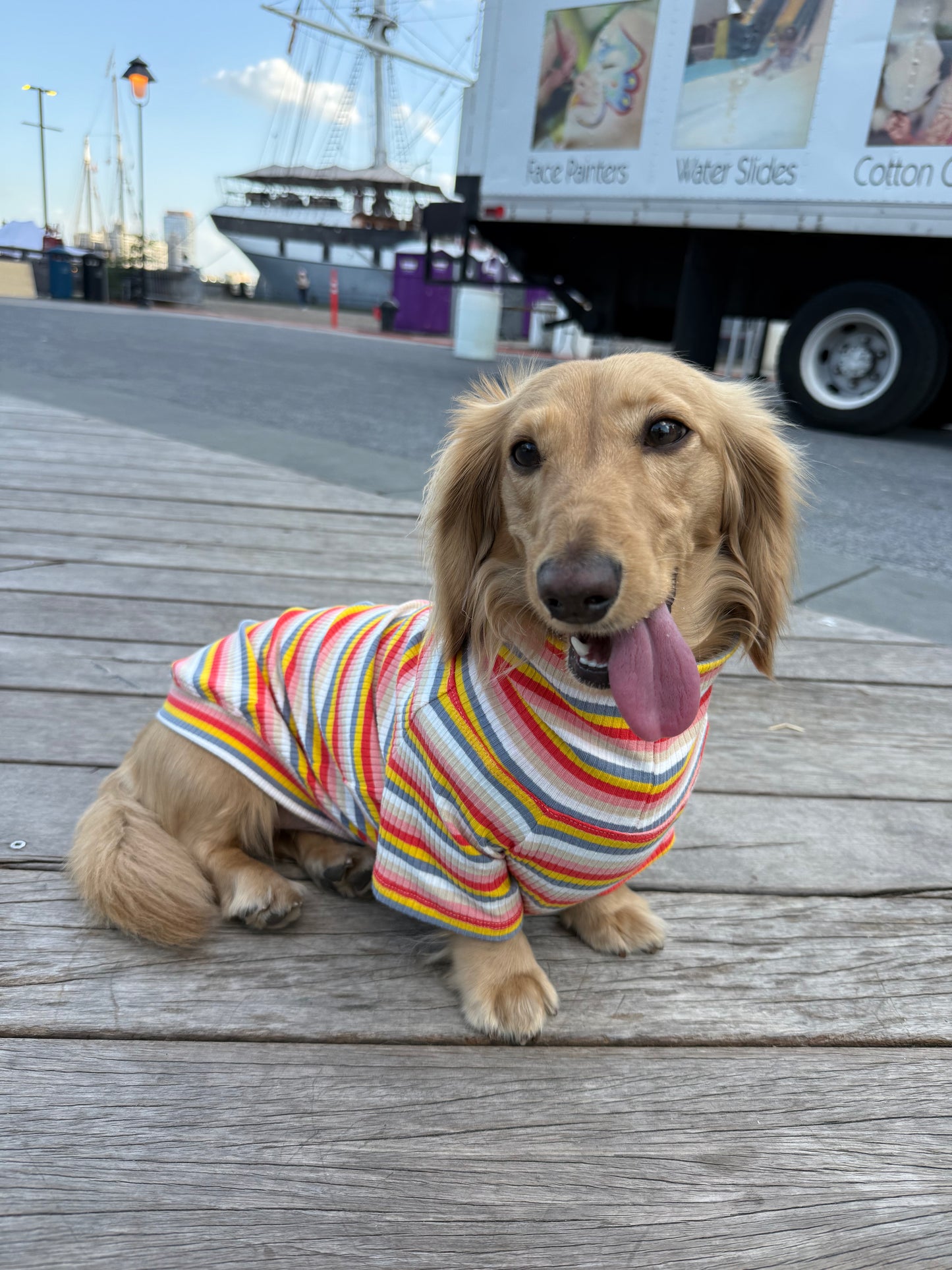 Retro Stripe Dog Shirt