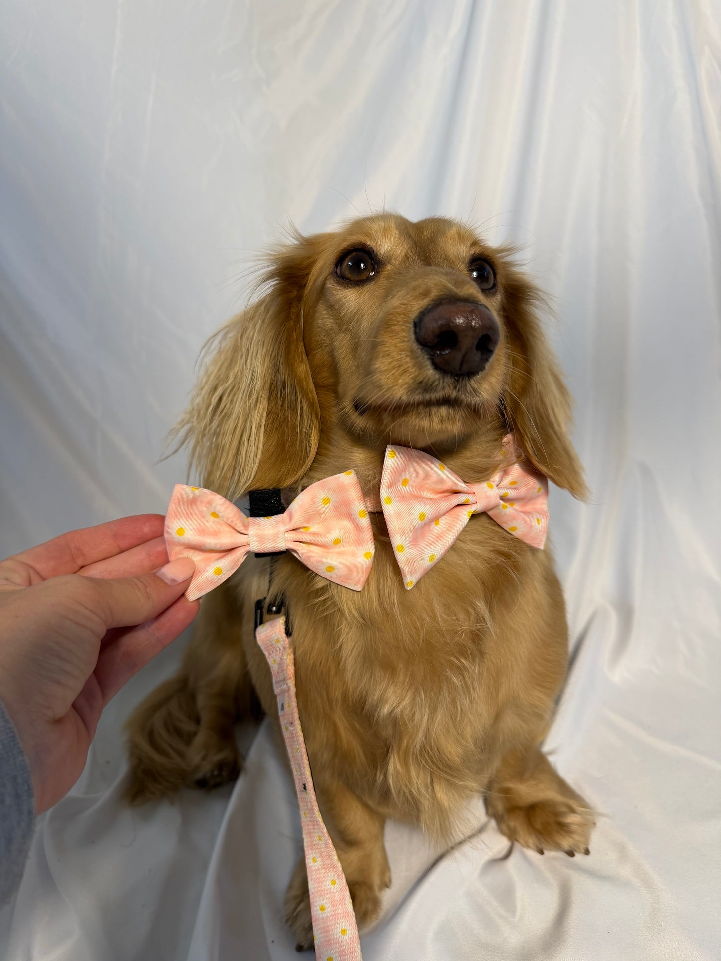 Sweet Strawberry Bowtie
