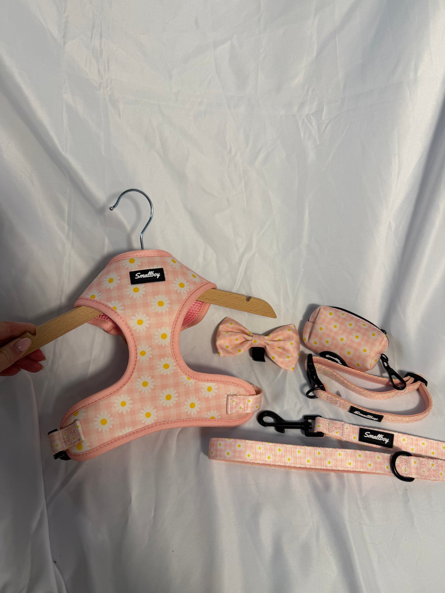 Daisy Daydream Leash