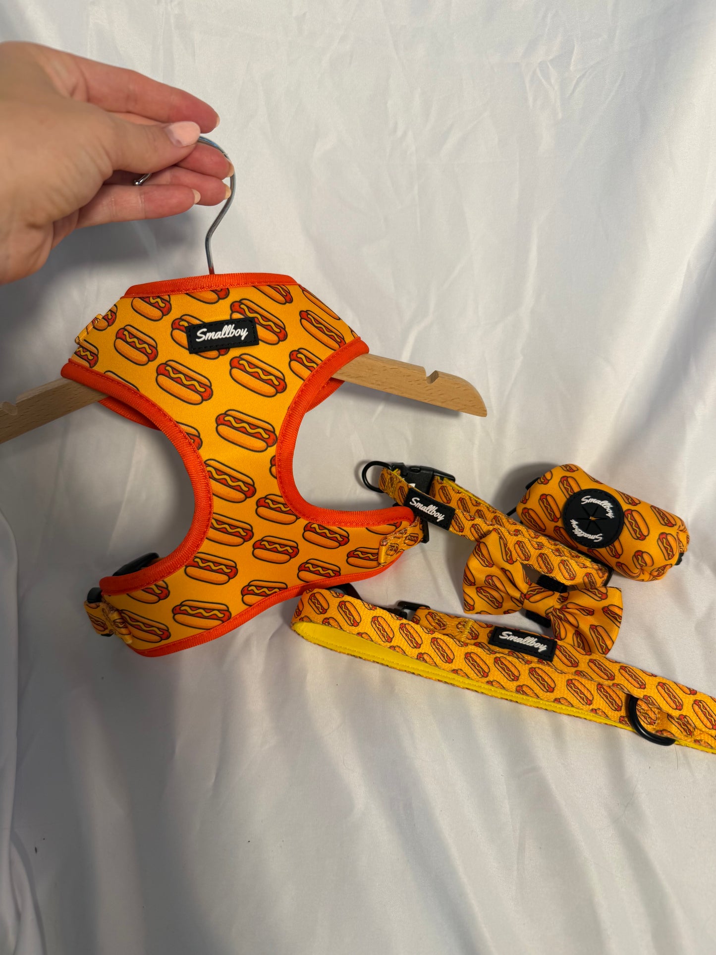 Hot Dog Leash
