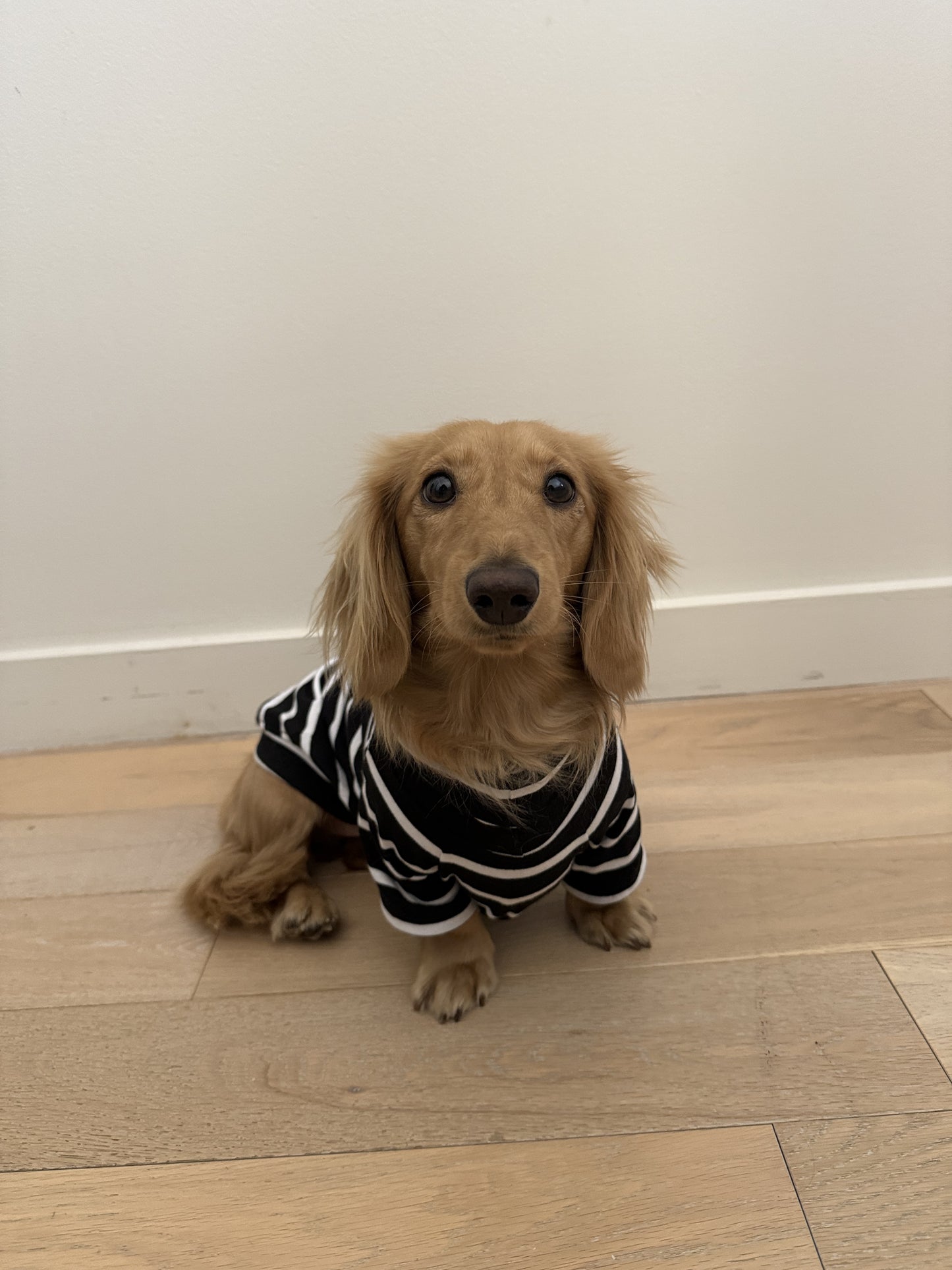Brown Sugar & Charcoal Striped Dog Sweater - Smallboy