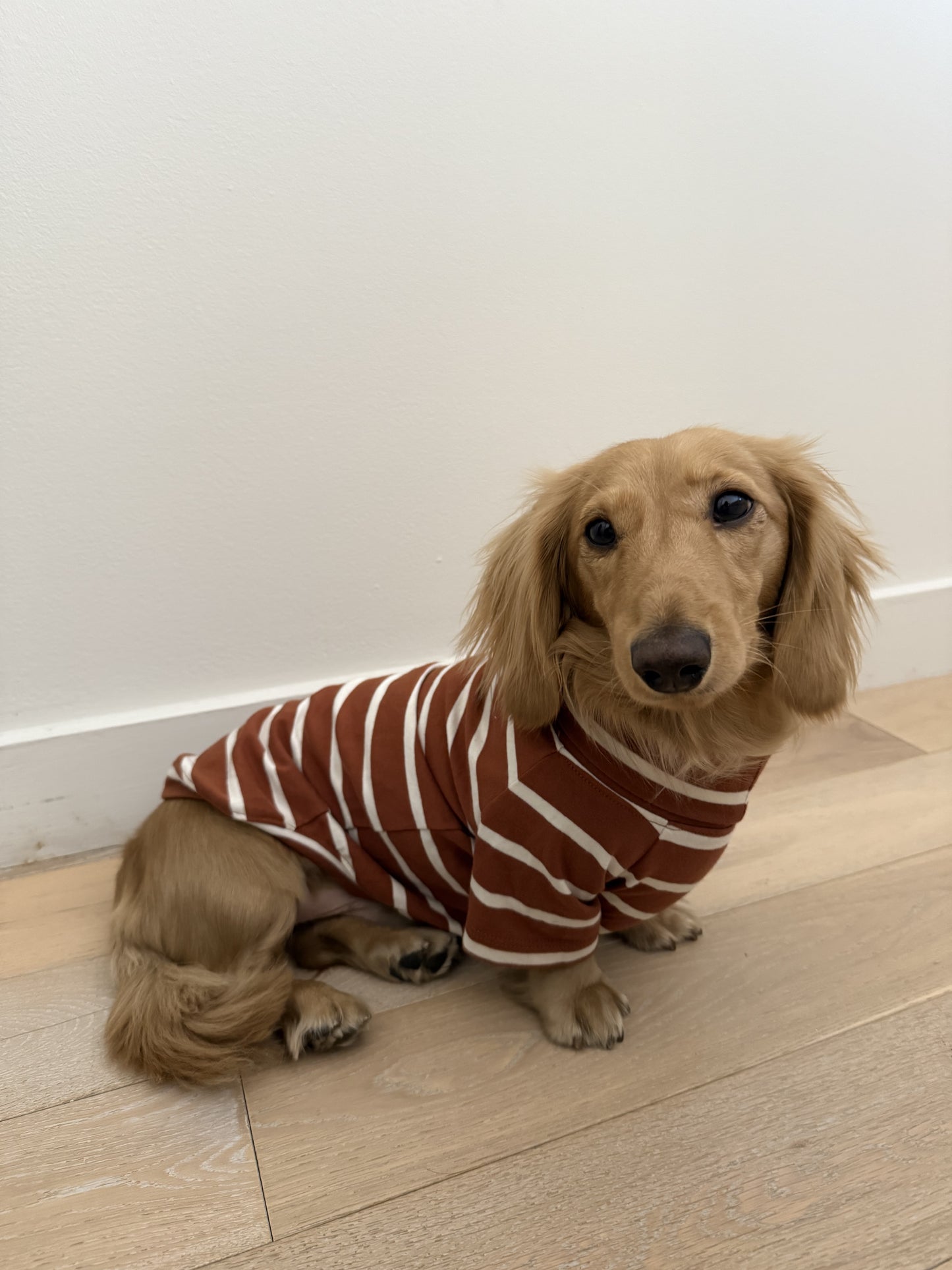 Brown Sugar & Charcoal Striped Dog Sweater - Smallboy