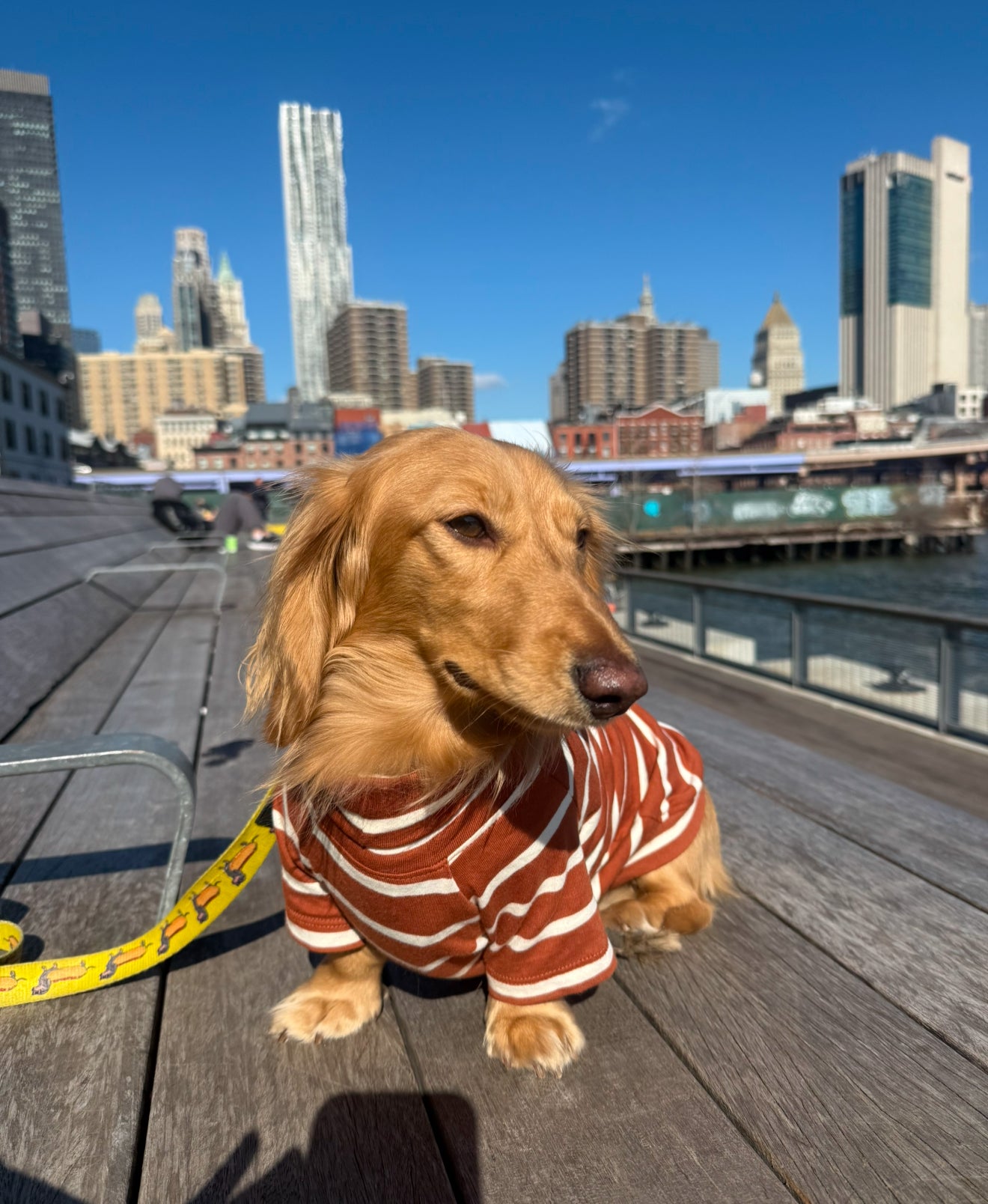 Brown Sugar & Charcoal Striped Dog Sweater
