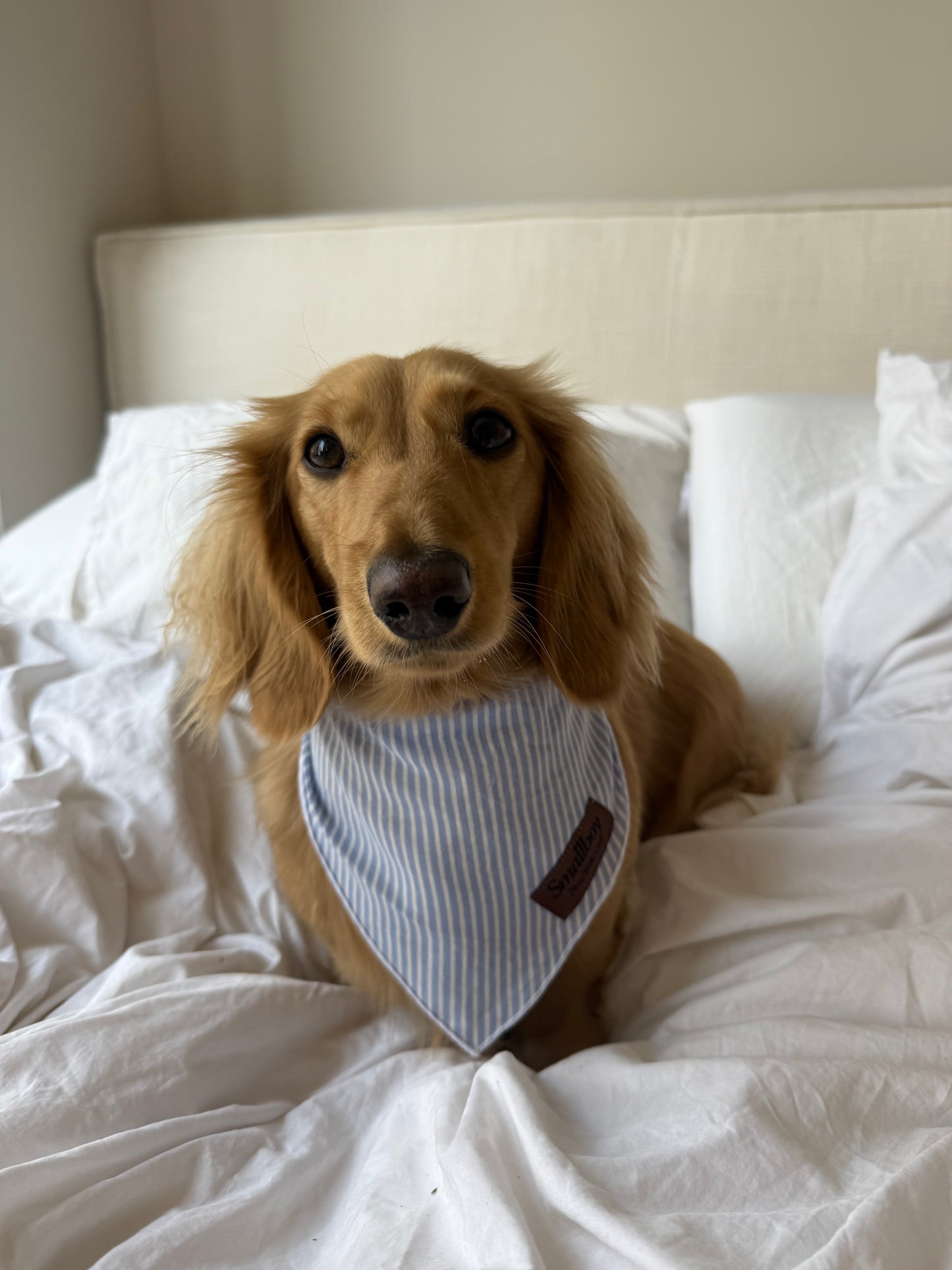 Coastal Breeze Bandana