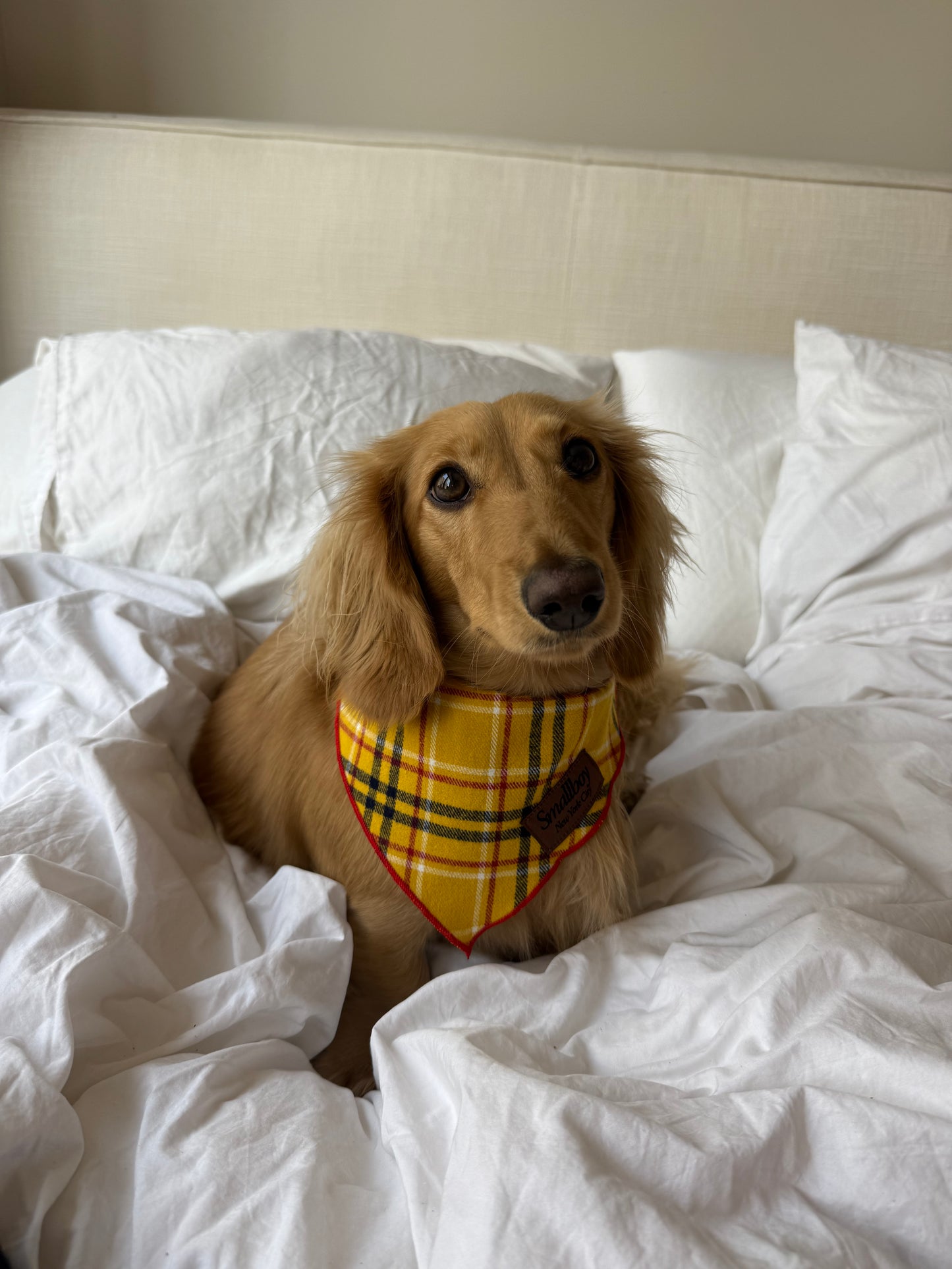 Daisy Duke Bandana