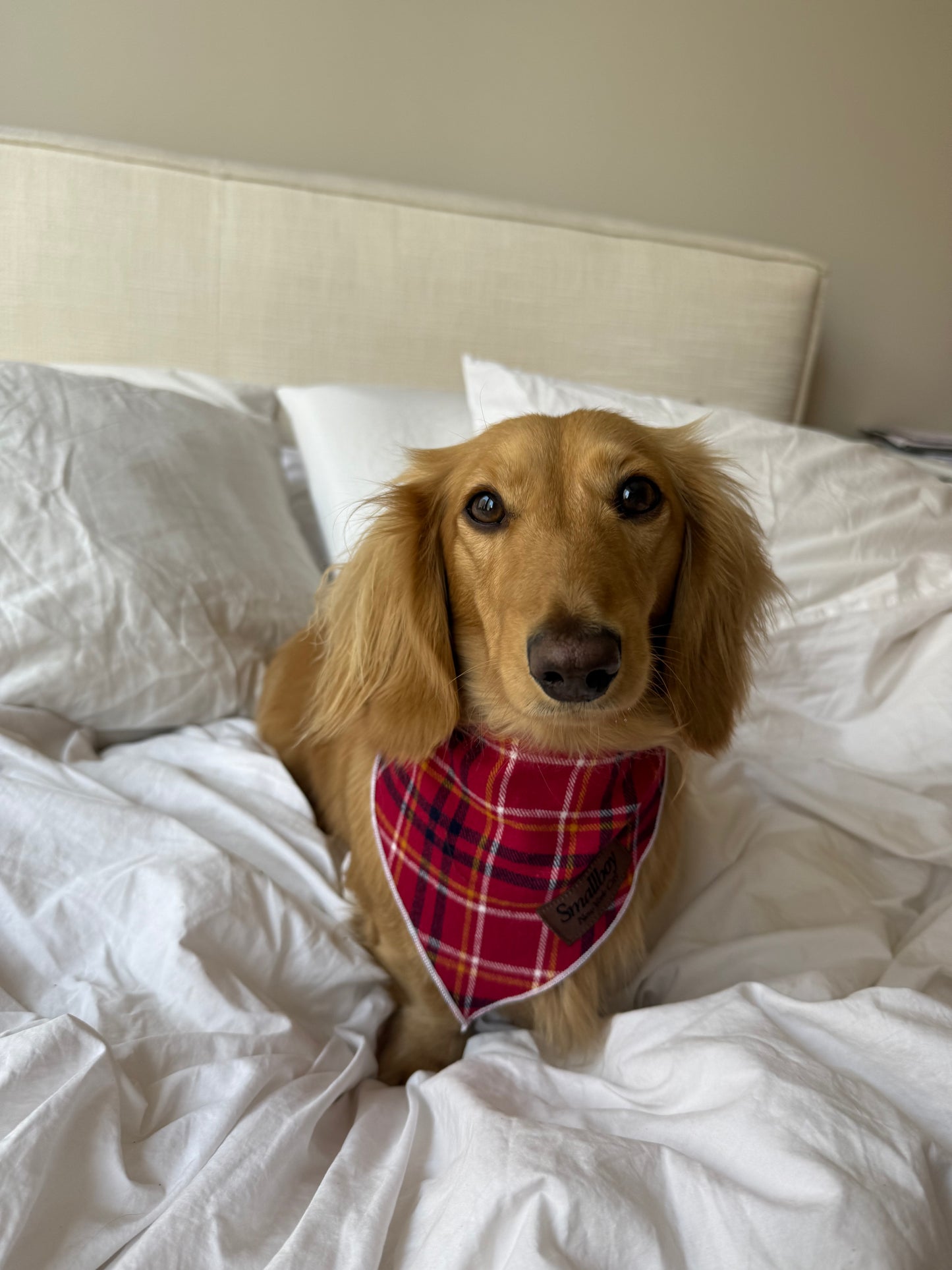 Daisy Duke Bandana