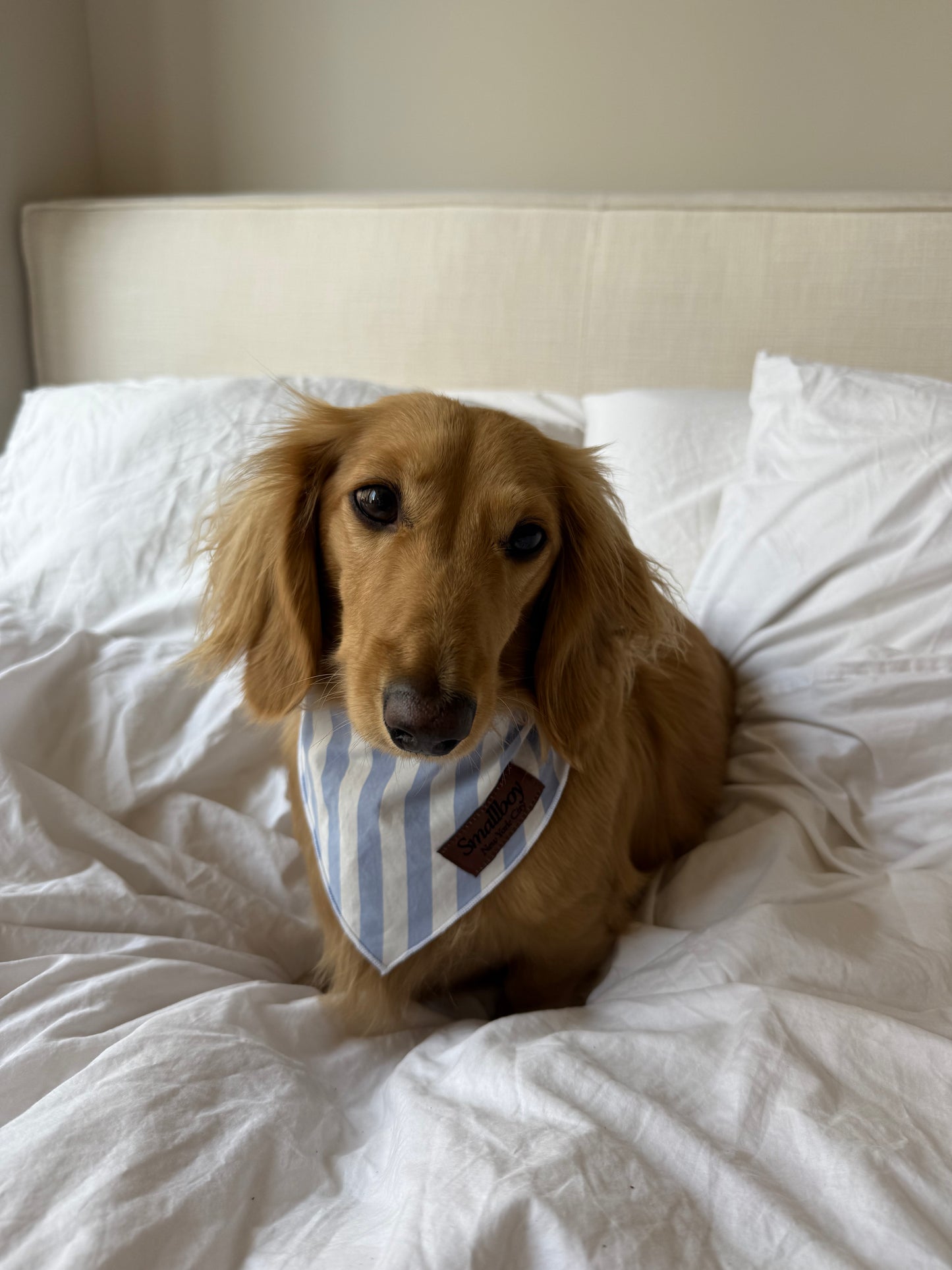 Coastal Breeze Bandana