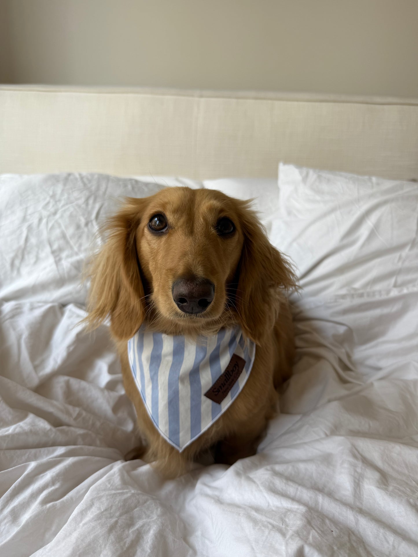 Coastal Breeze Bandana