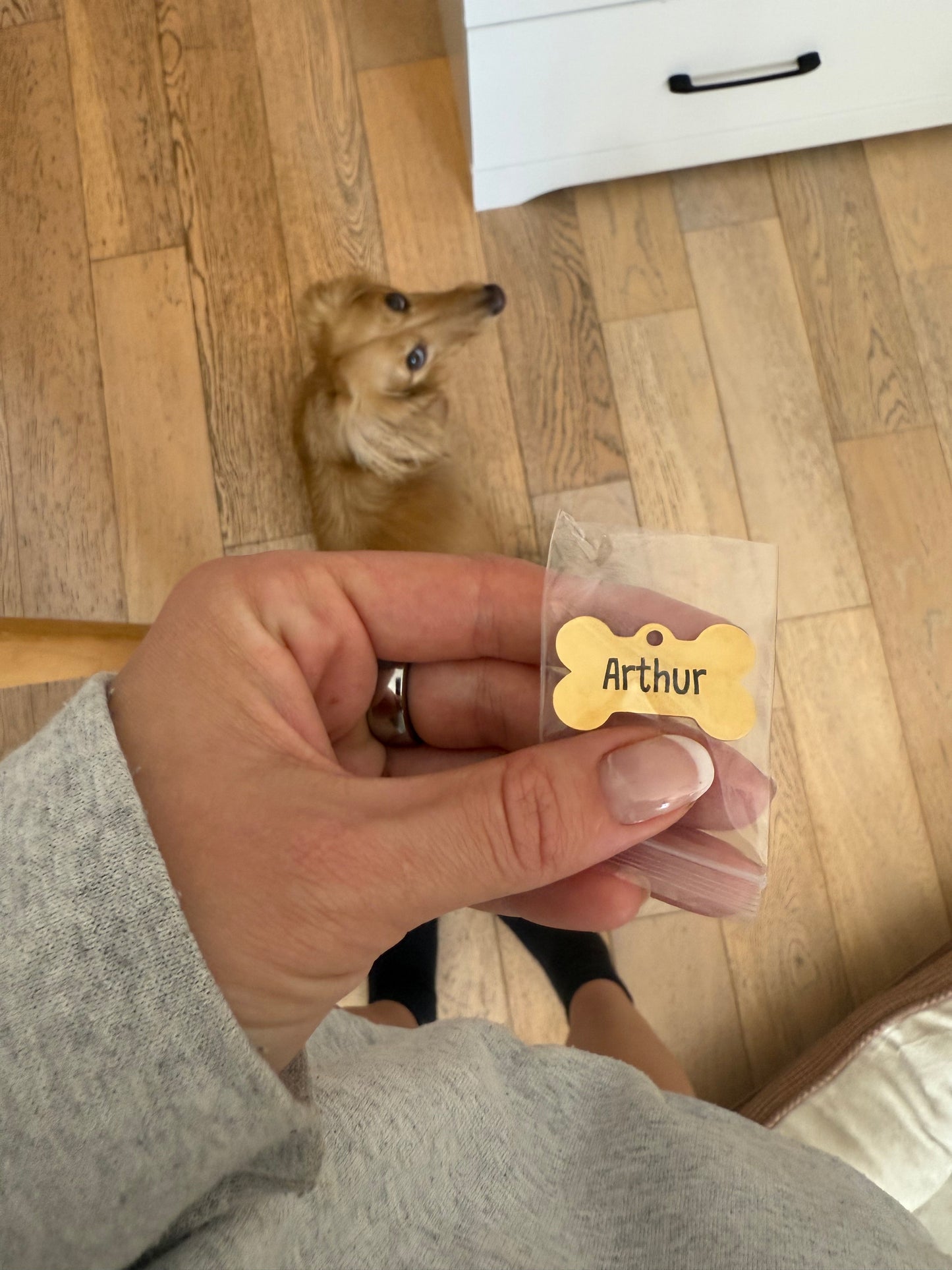 Custom Dog Tag