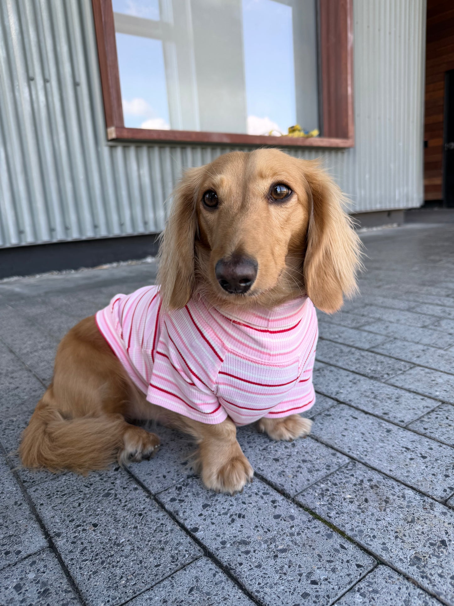 Strawberry Milk Matching Set