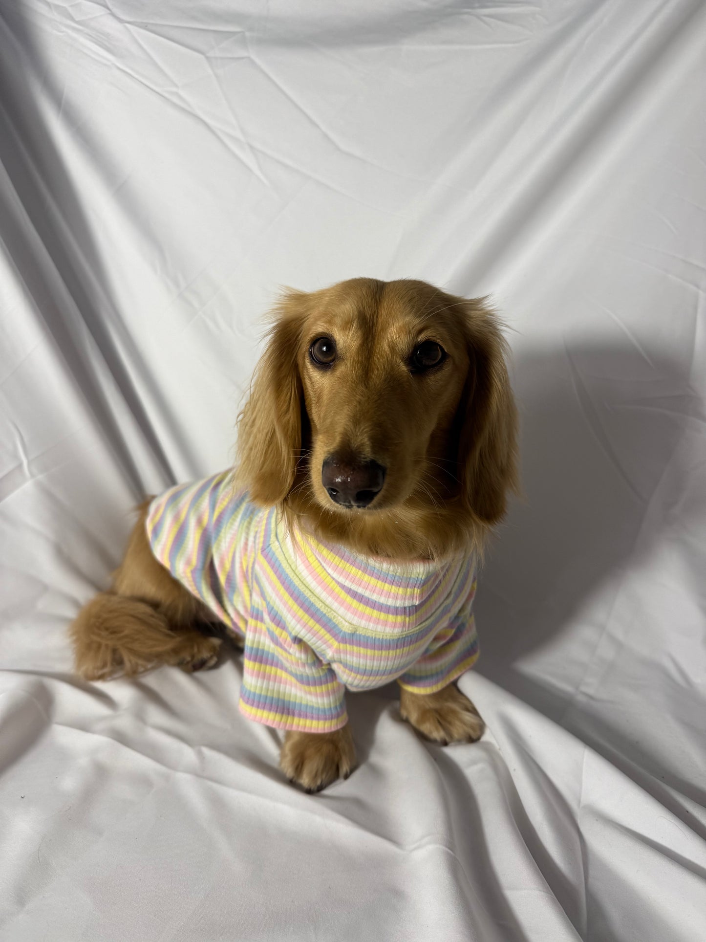 Cotton Candy Days Dog Shirt