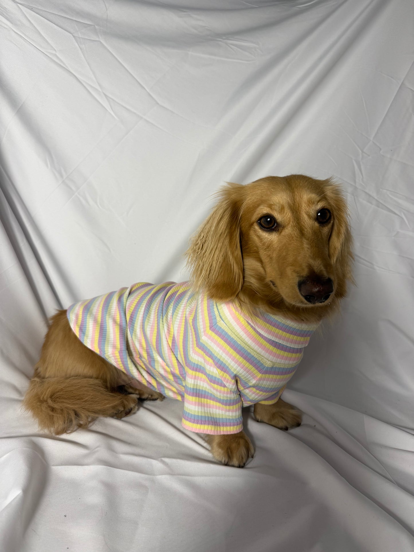 Cotton Candy Days Dog Shirt