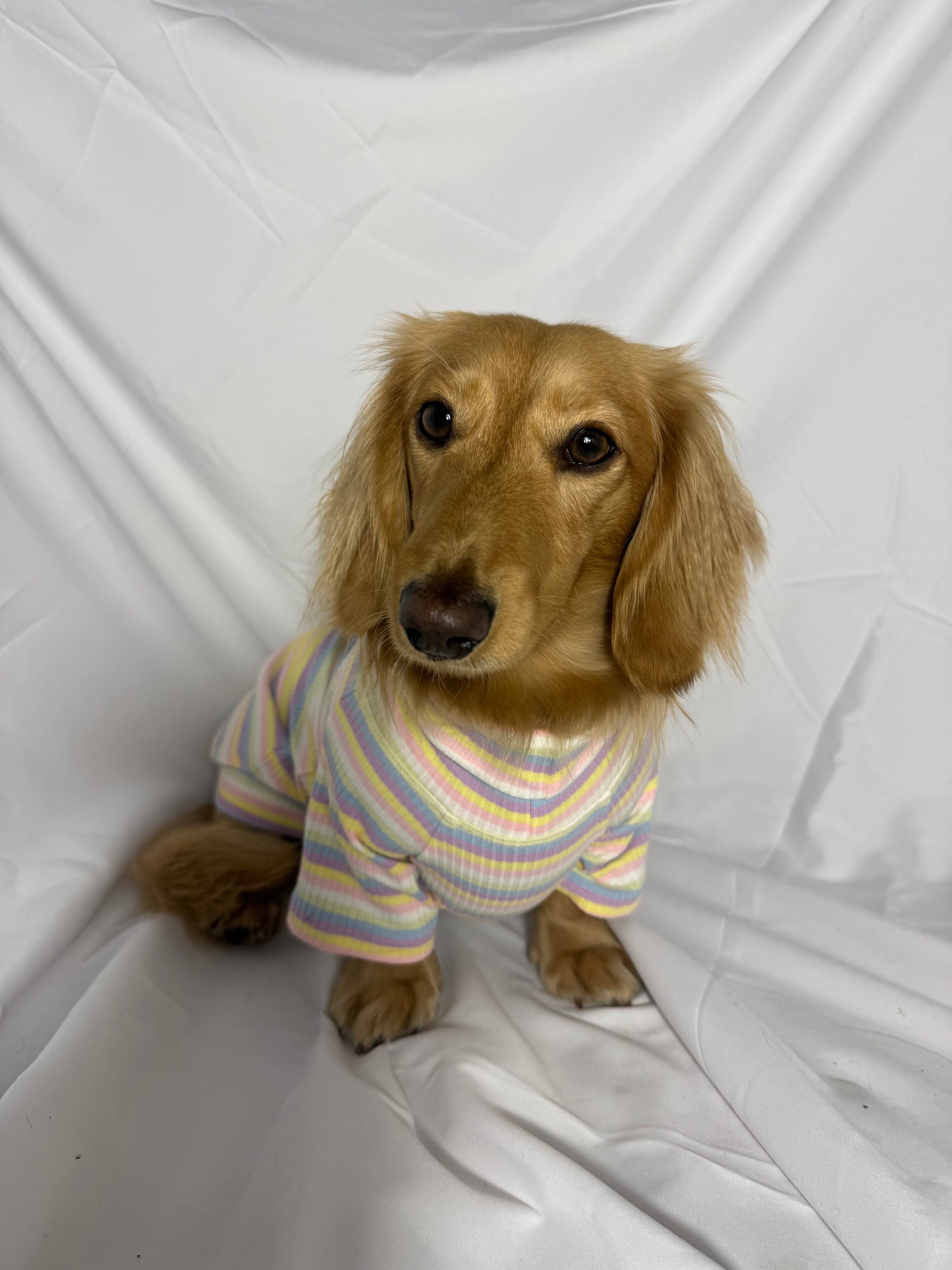 Cotton Candy Days Dog Shirt