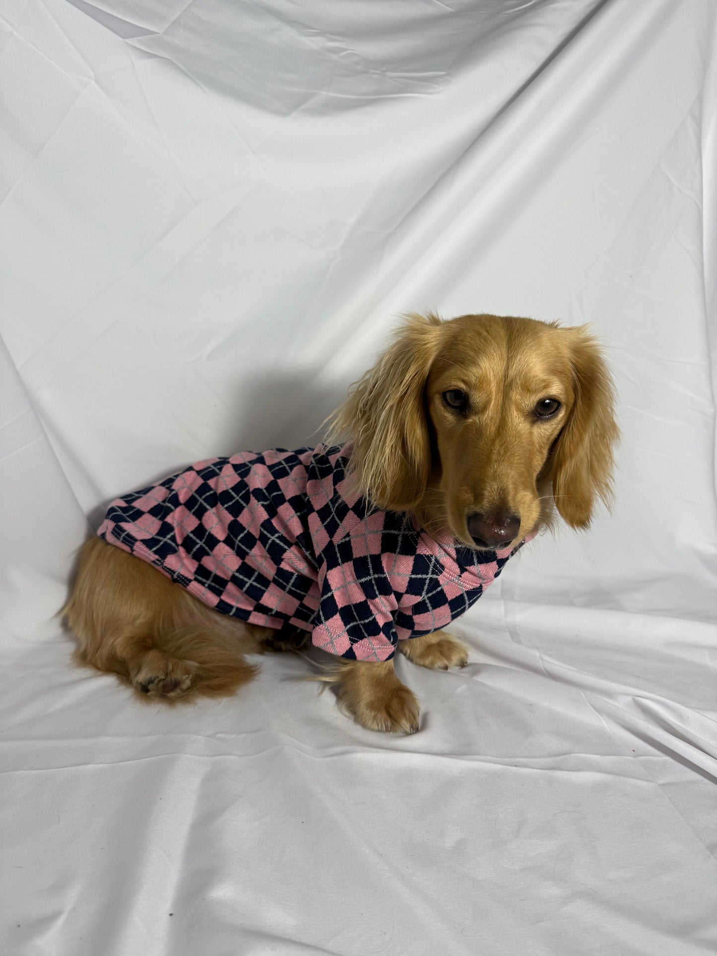 Country Club Sweater