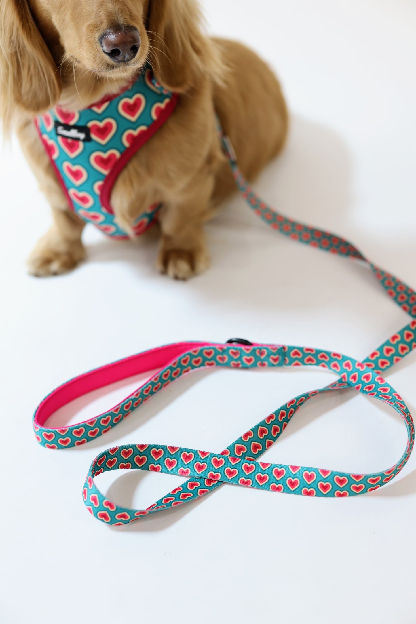 Sweetheart Leash