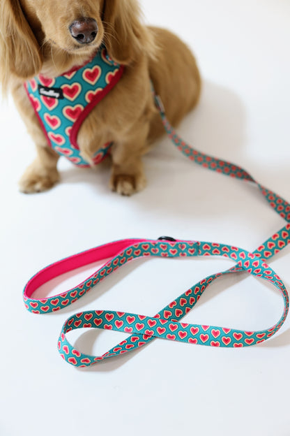 Sweetheart Leash