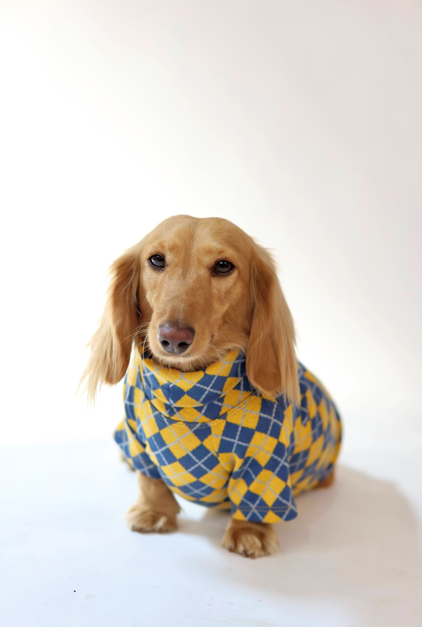 Study Break Sweater