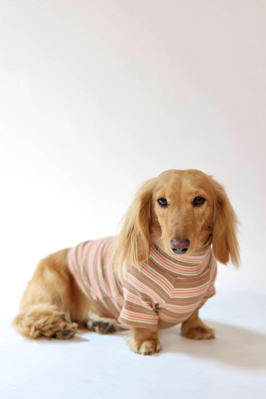 Cocoa Stripe Dog Shirt
