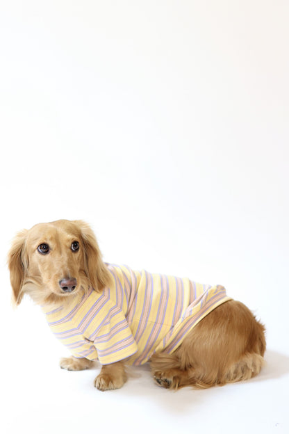 Honey Lavender Dog Shirt