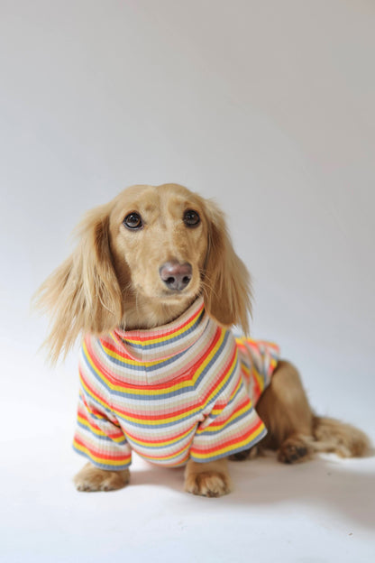 Retro Stripe Dog Shirt