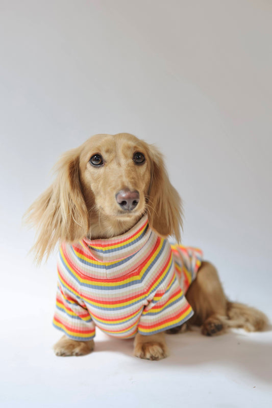 Retro Stripe Dog Shirt