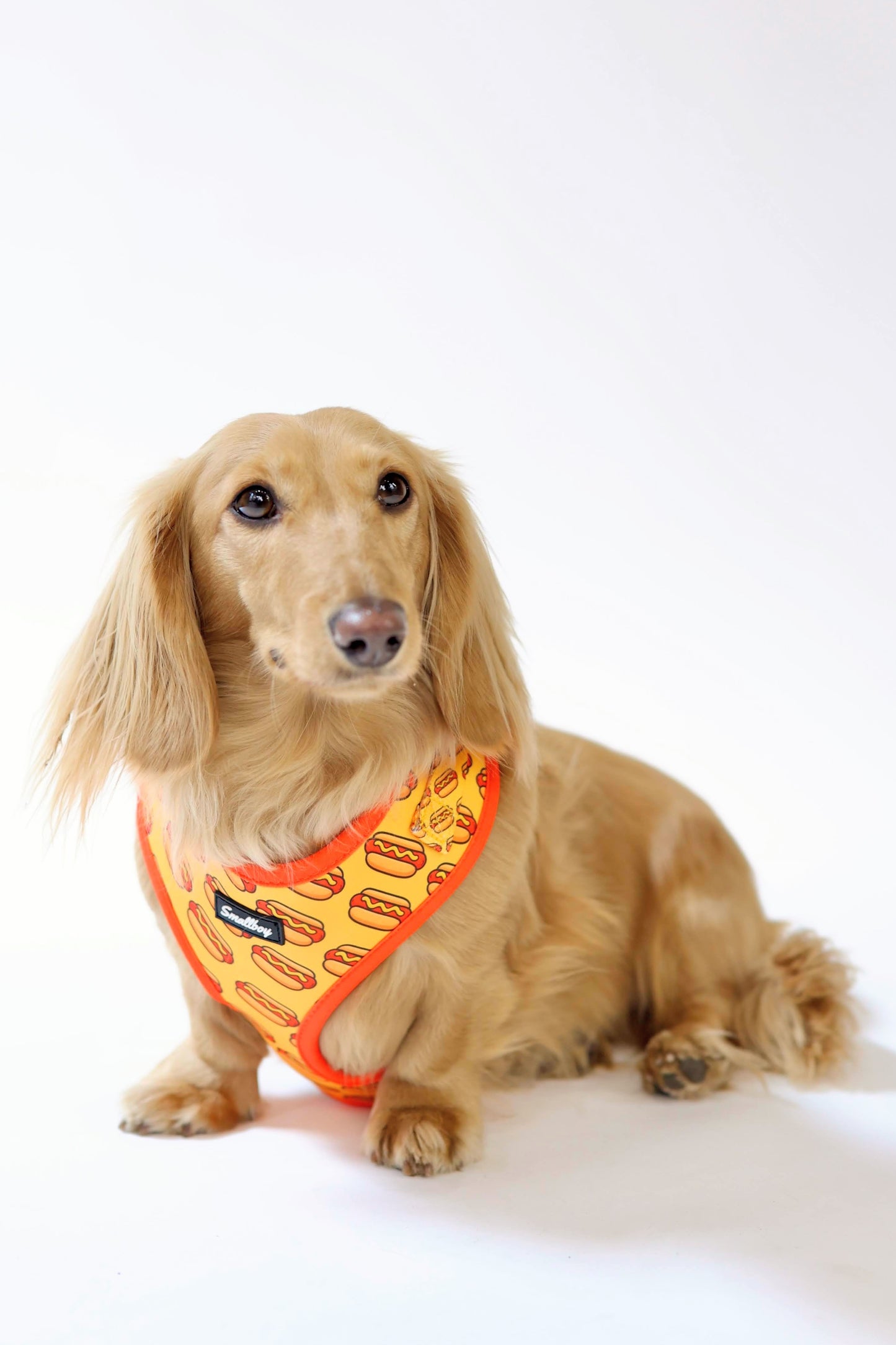 Hot Dog Harness
