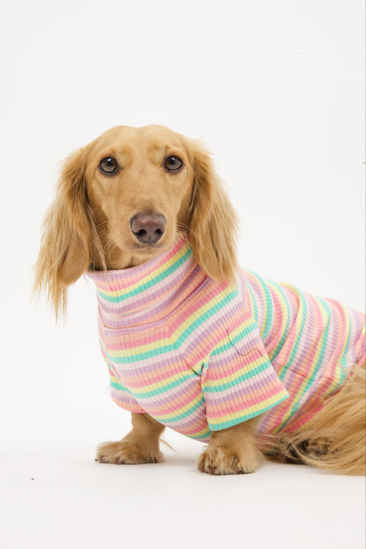 Sugar Rush Dog Shirt
