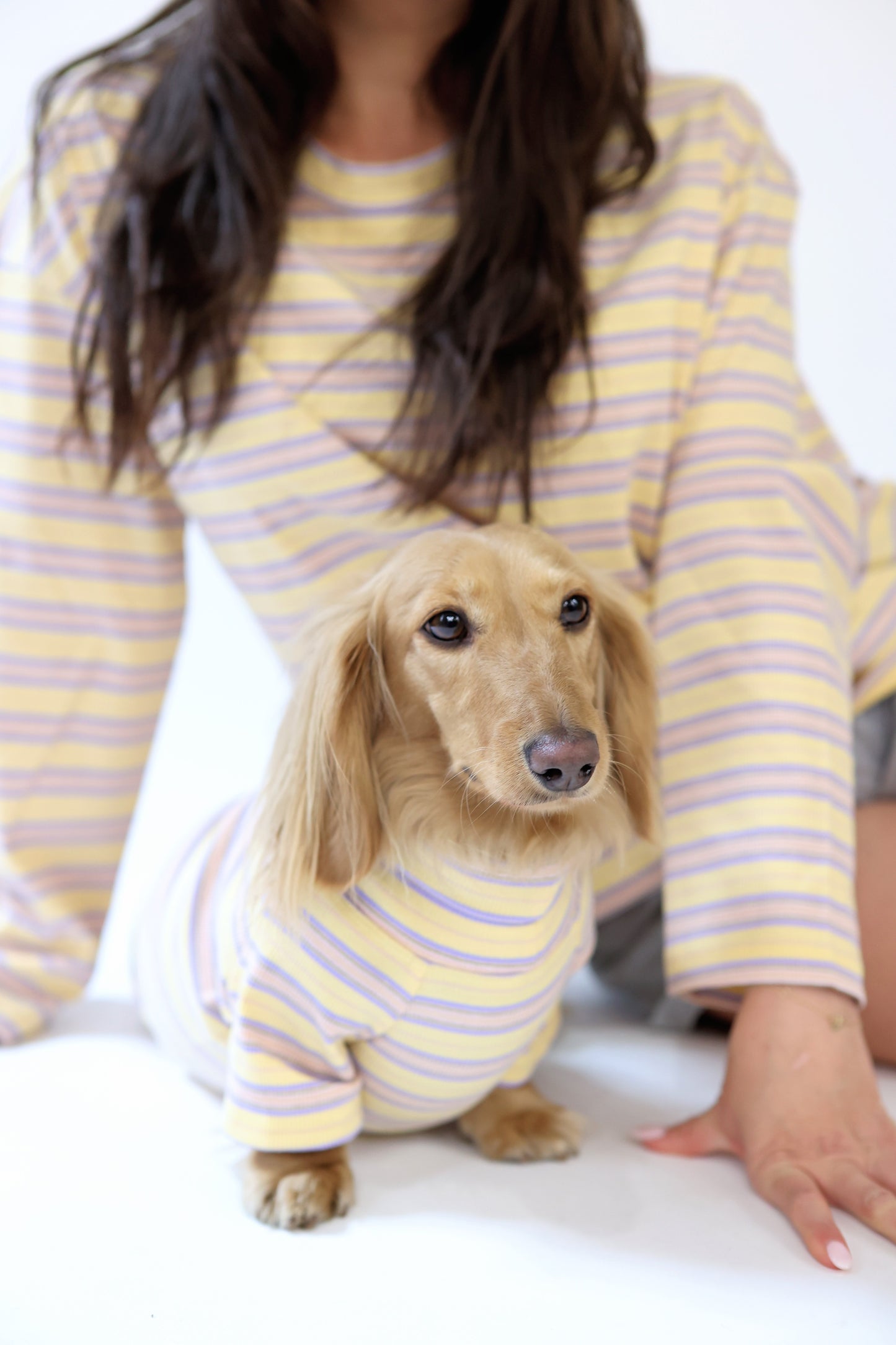 Honey Lavender Dog Shirt