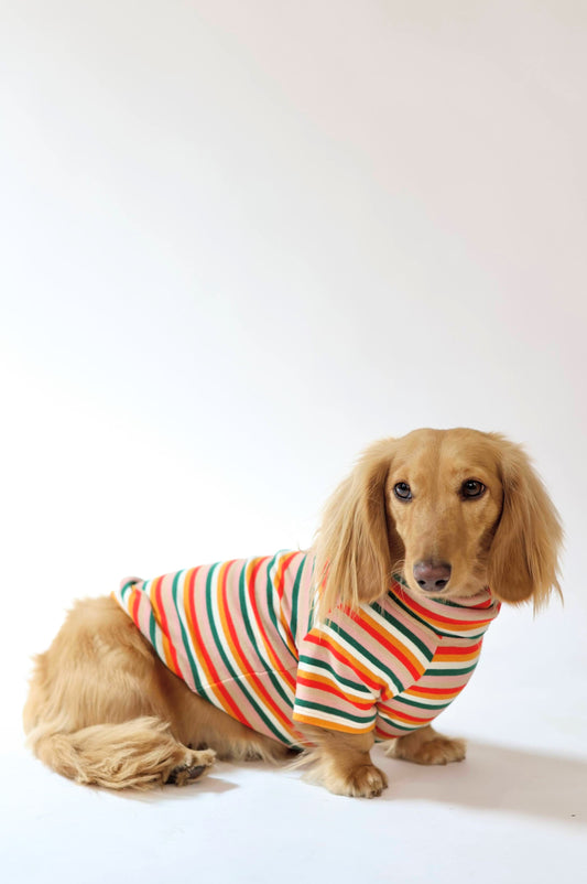 Sunset Soda Dog Shirt