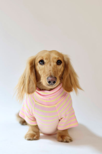 Sherbert Dog Shirt