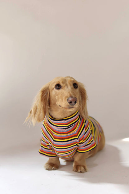 Roller Disco Dog Shirt