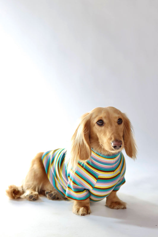 Blue Candy Stripe Dog Shirt