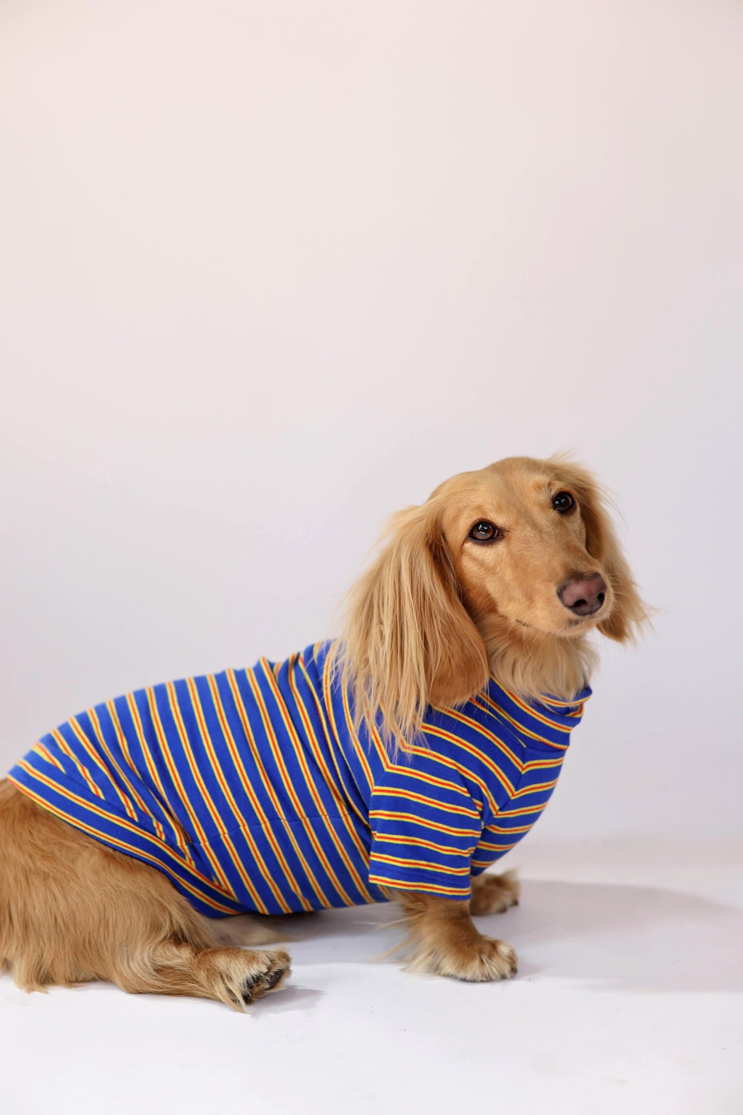 Ballpark Classic Dog Sweater