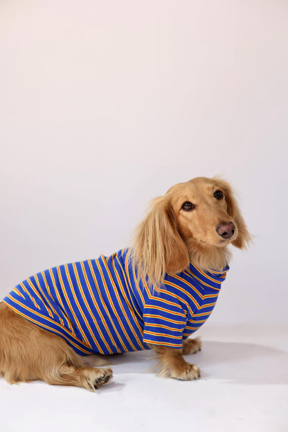 Ballpark Classic Dog Sweater
