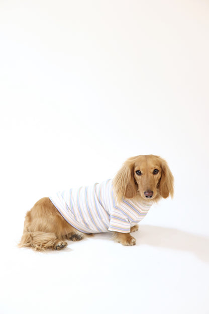 Frosted Cupcake Dog Shirt
