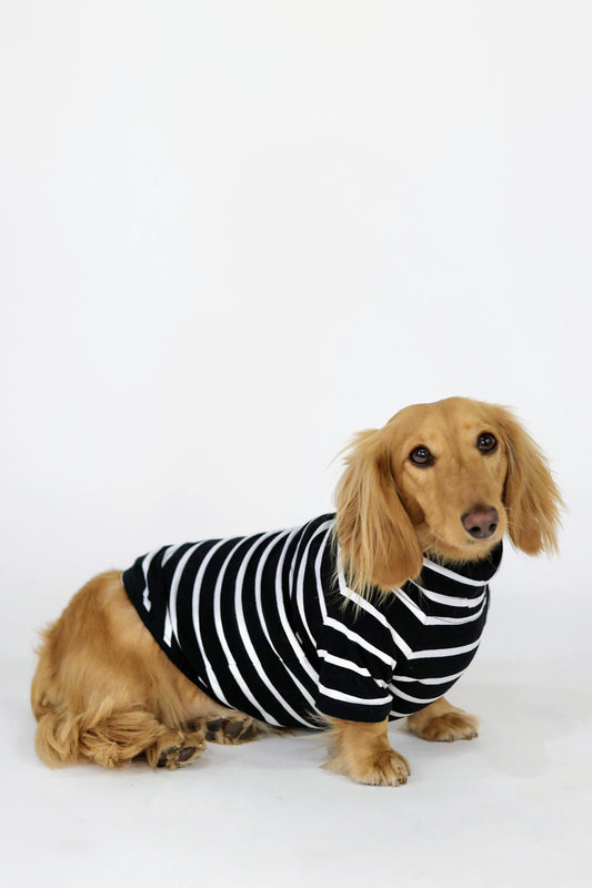 Brown Sugar & Charcoal Striped Dog Sweater