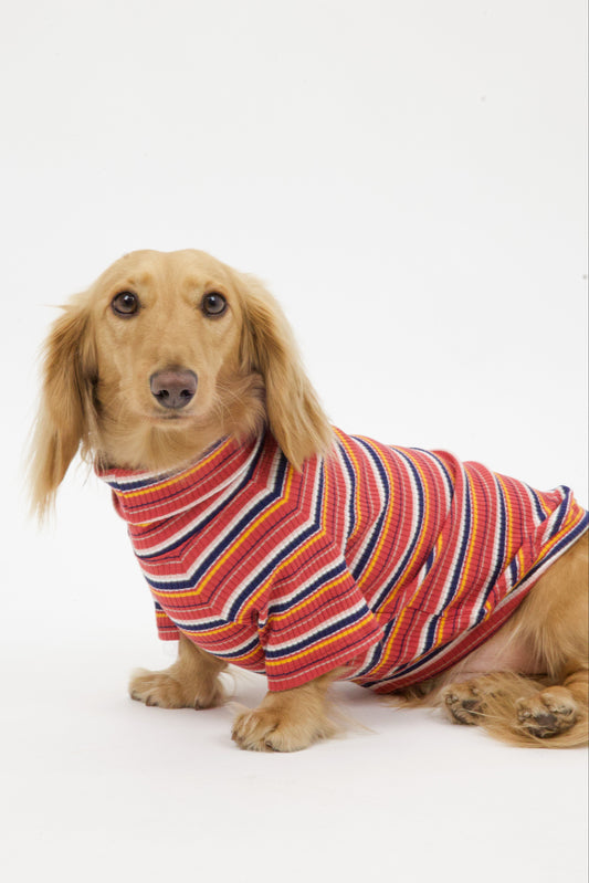 Cranberry Harvest Dog Shirt