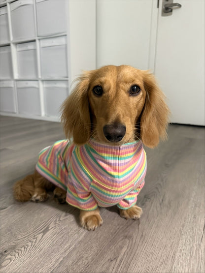Sugar Rush Dog Shirt