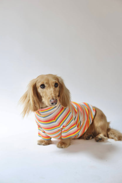 Retro Stripe Dog Shirt