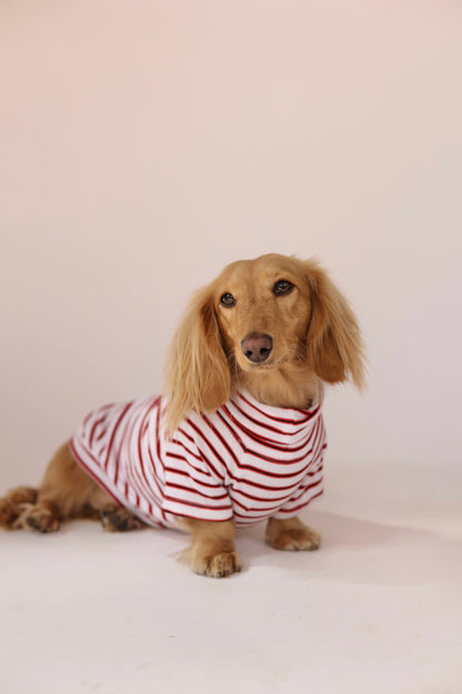 Hotdog Cart Classic Dog Sweater