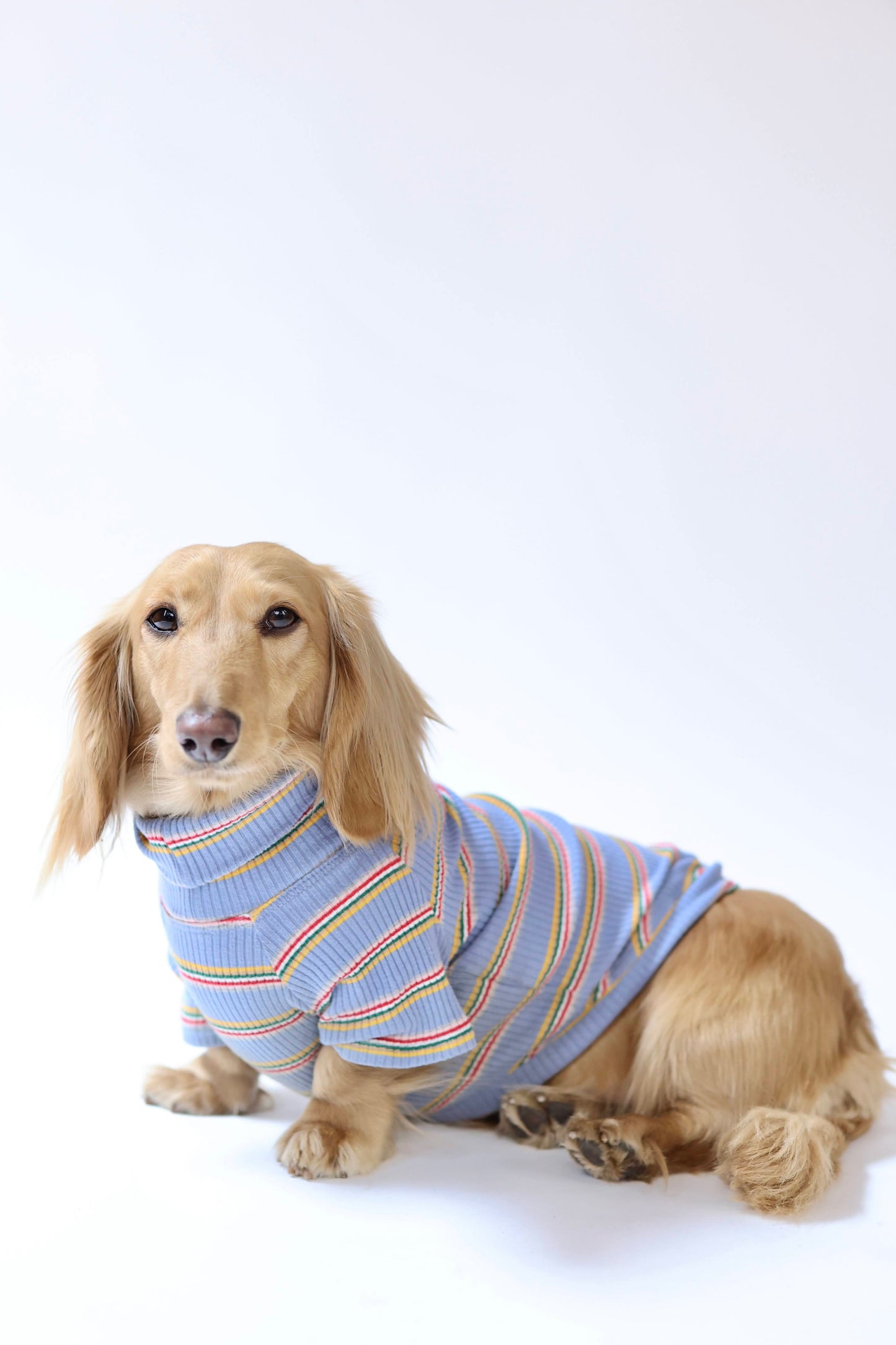 Frosted Berry Dog Shirt