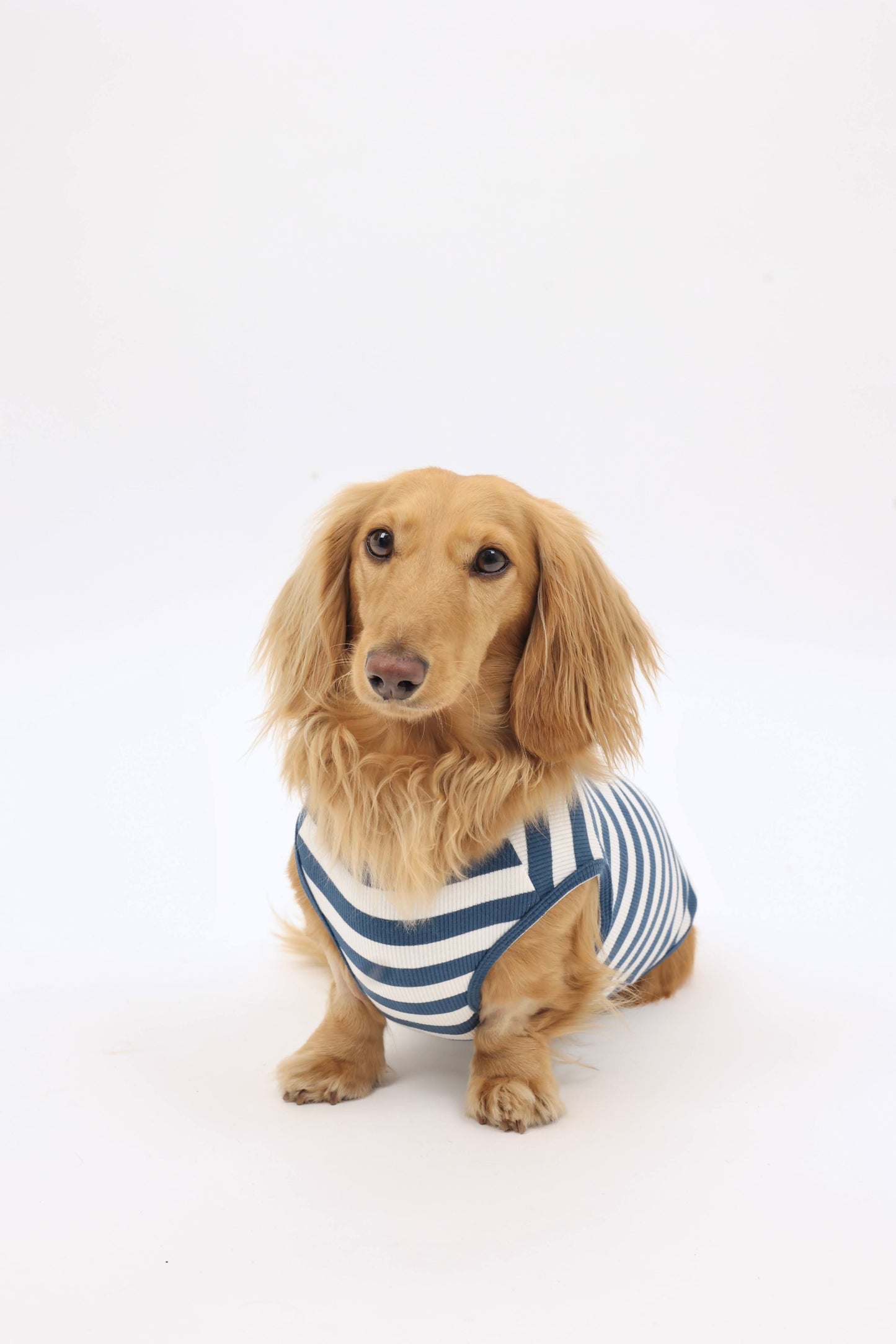 Coastal Blues Dog Shirt