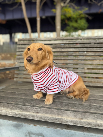 Red and White Duo Dog Sweater